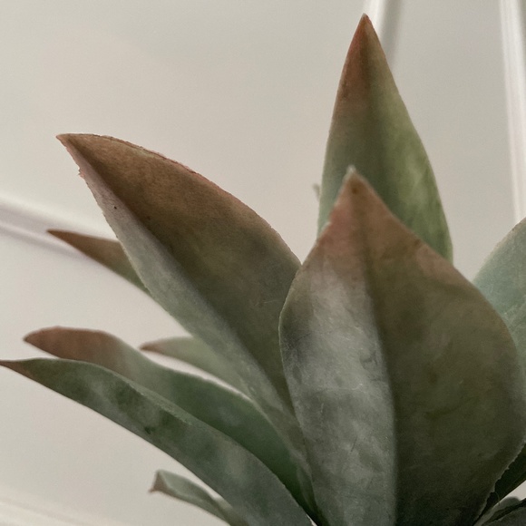 Faux plant in modern matte black clay vase - Picture 7 of 8